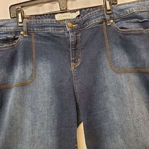 TORRID ☆ Denim Jean Shorts